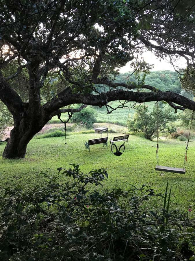 Nkumbe Bush Retreat Family Home Ponta Malongane Eksteriør billede